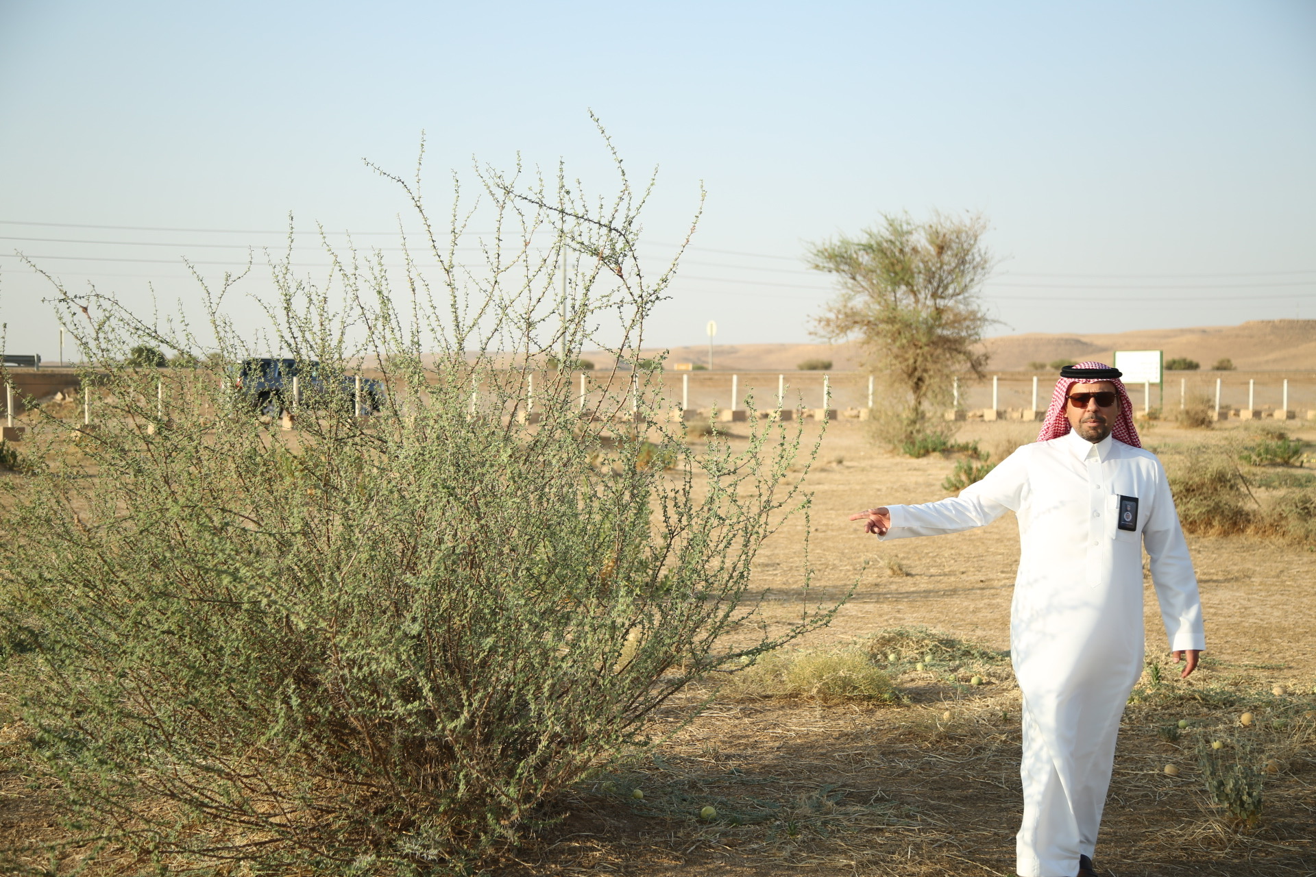 الفيحاء يشارك في حملة التشجير بالمشاركة مع مكتب وزارة البيئة والمياة والزراعة