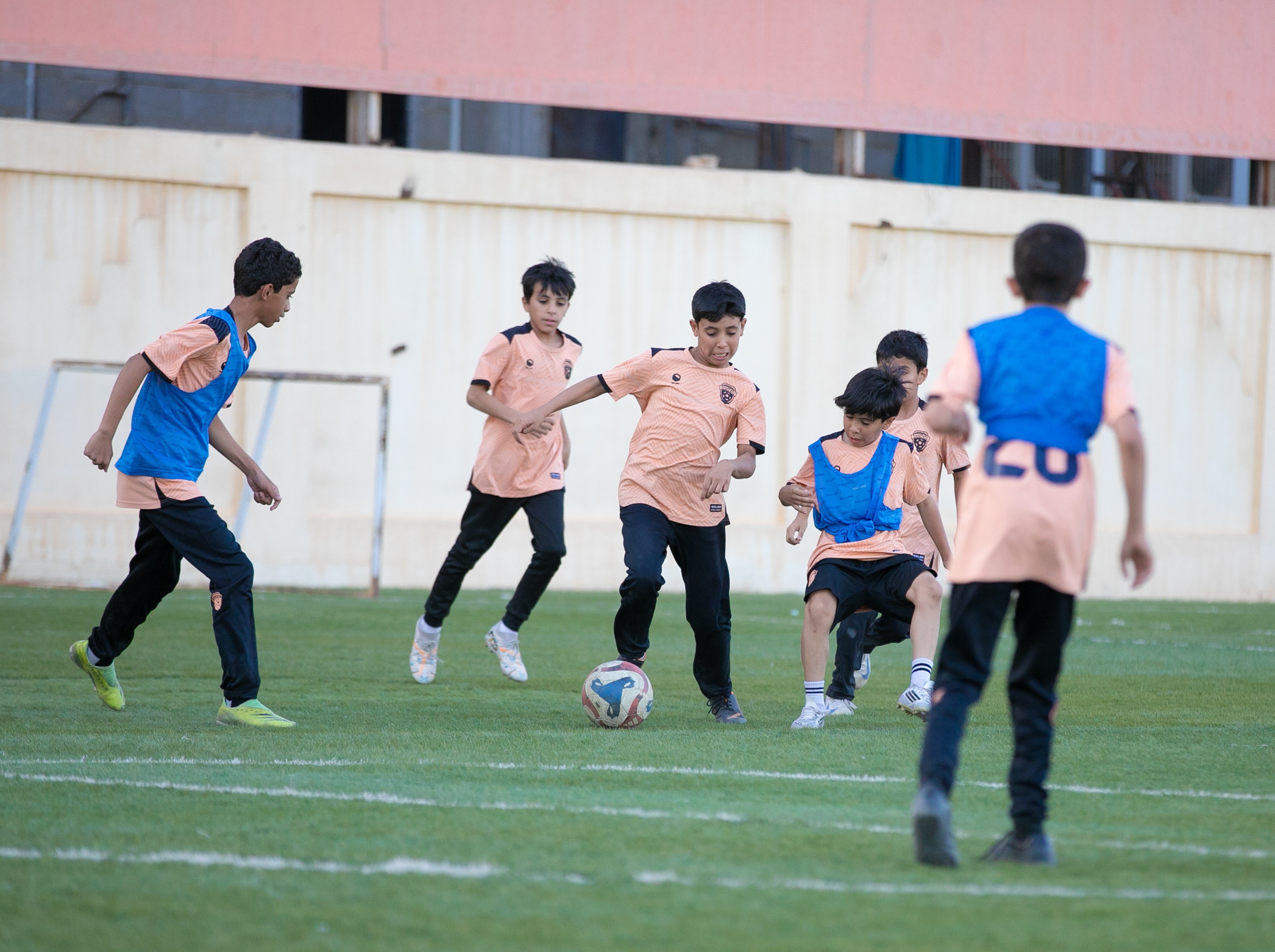 أكاديمية الفيحاء تواصل تدريباتها اليومية