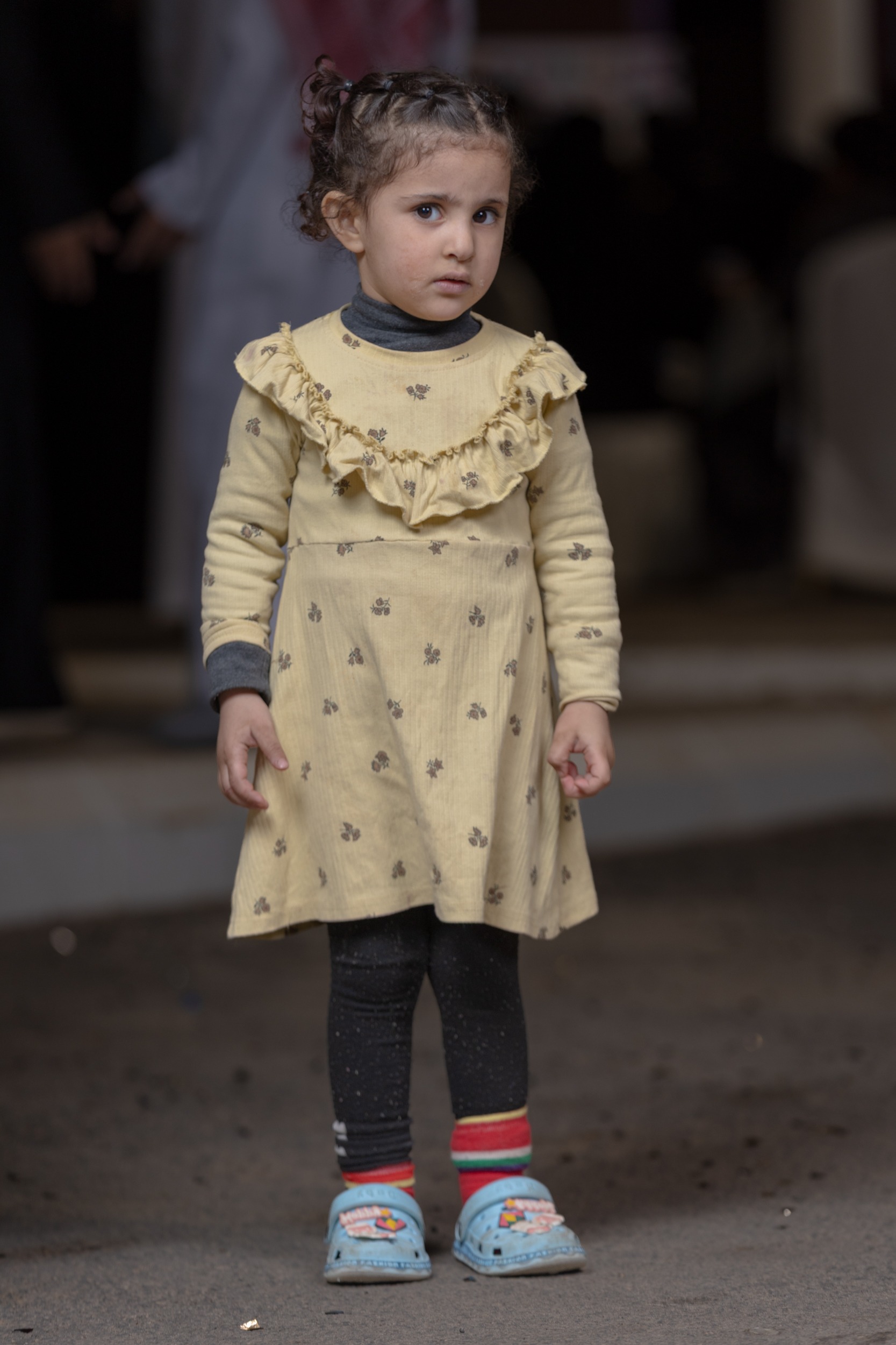 الفيحاء يقيم فعالية " حوامة الفيحاء"